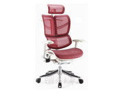 网布大班椅 Mesh Executive Chair